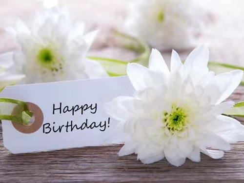 Birthday Package